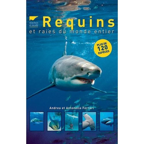 Requins Et Raies Du Monde Entier