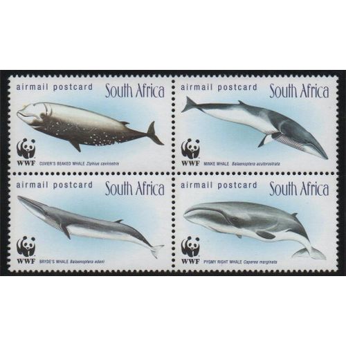 Afrique Du Sud Timbres Animaux Marins 1998