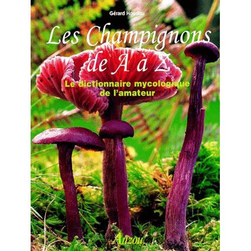 Les Champignons De A À Z. Le Dictionnaire Mycologique De L'amateur