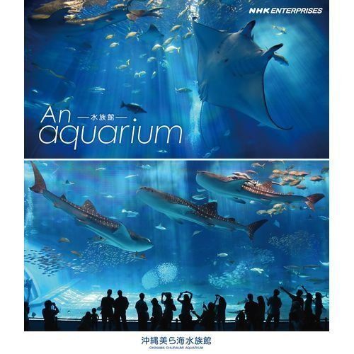 An Aquarium Nhk