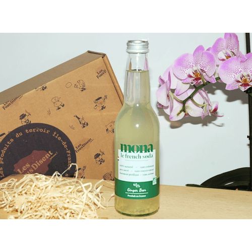 Ginger Beer Bio 33cl