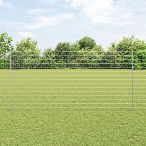 vidaXL Set de clôture de jardin Set de 2 Acier galvanisé 10 mètres