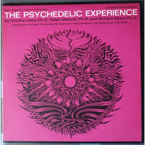 Timothy Leary : Psychedelic Experience