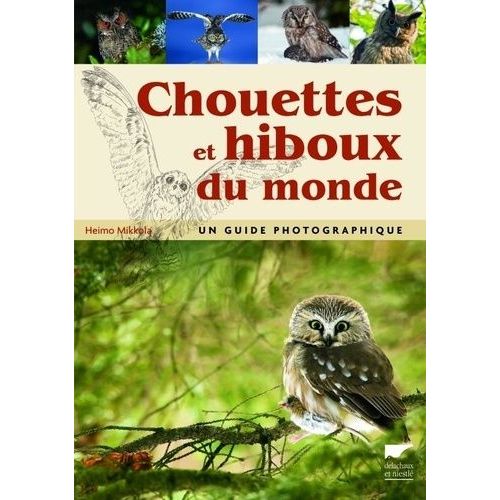 Chouettes Et Hiboux Du Monde - Un Guide Photographique