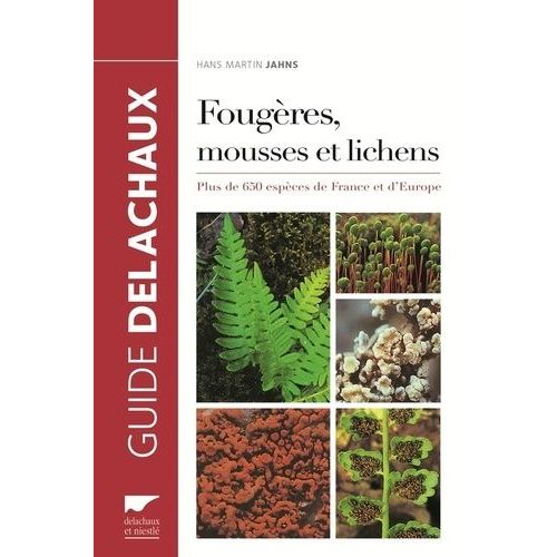 Fougères, Mousses Et Lichens - Plus De 650 Espèces De France Et D'europe