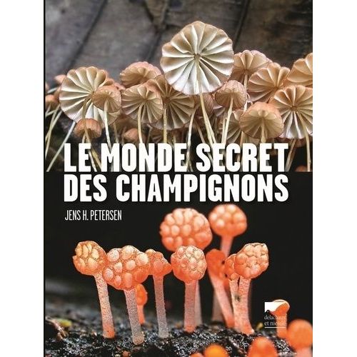 Le Monde Secret Des Champignons
