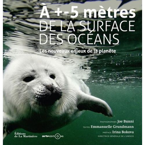 A +- 5 Mètres De La Surface Des Océans - Les Nouveaux Enjeux De La Planète