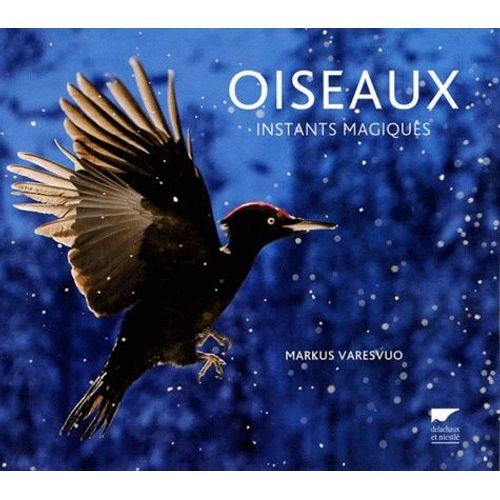 Oiseaux - Instants Magiques