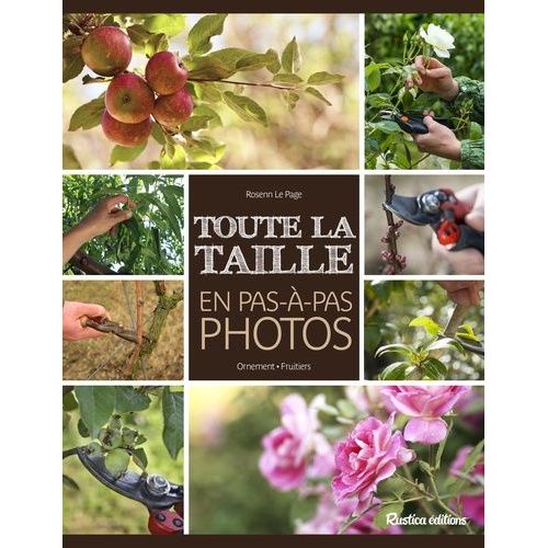 Toute La Taille En Pas À Pas Photos - Ornement - Fruitiers