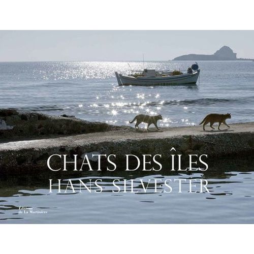Chats Des Îles