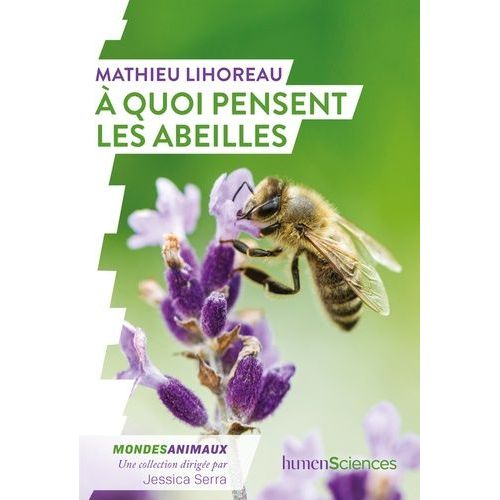 A Quoi Pensent Les Abeilles ?