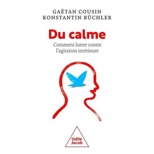 Du Calme ! - Comment Lutter Contre L'agitation Intérieure