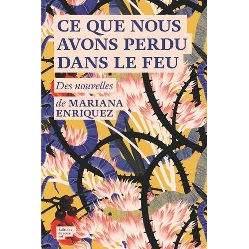Ce Que Nous Avons Perdu Dans Le Feu