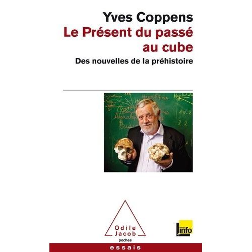 Le Présent Du Passé Au Cube - Des Nouvelles De La Préhistoire