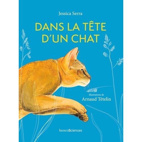 Dans La Tête D'un Chat