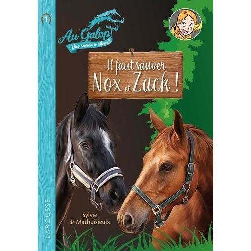 Au Galop ! Une Saison À Cheval - Tome 1 - Il Faut Sauver Nox Et Zach !