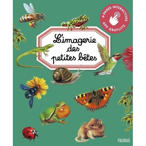 L'imagerie Des Petites Bêtes