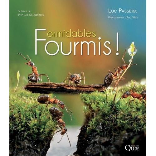 Formidables Fourmis !