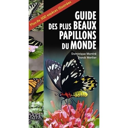 Guide Des Plus Beaux Papillons Du Monde