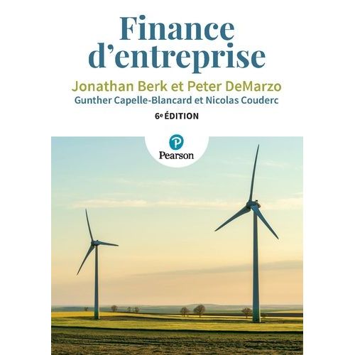 Finance D'entreprise