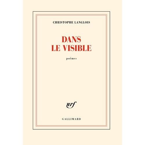Dans Le Visible