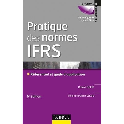 Pratique Des Normes Ifrs - Référentiel Et Guide D'application