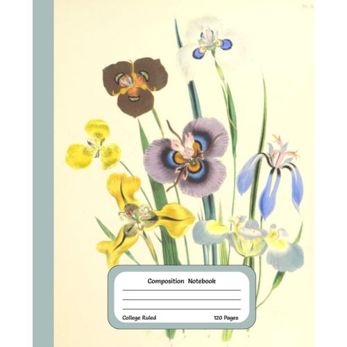 Vintage Botanical Flower Composition Notebook Phalocallis: Vintage 1841 Art Design | Beautiful Notebook For Flower Lovers | This Composition Notebook Is Perfect For School, Work Or College | College R