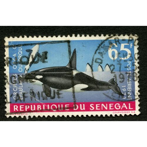 Timbre Oblitéré République Du Sénégal, Orca, 65 F, Poste Aérienne,