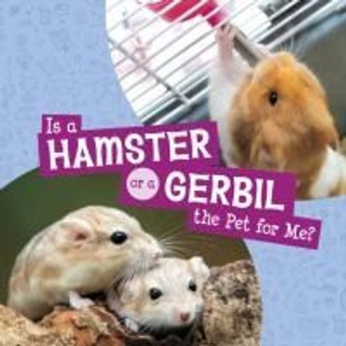 Is A Hamster Or A Gerbil The Pet For Me?