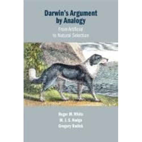 Darwin's Argument By Analogy