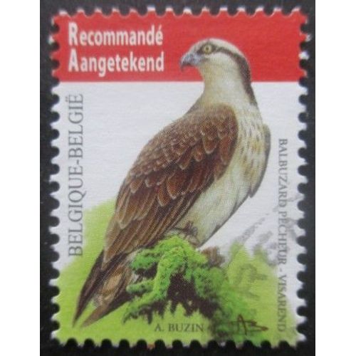 Belgique N°4071 Oiseau Oblitéré