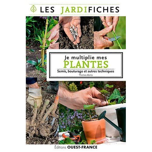 Je Multiplie Mes Plantes - Semis, Bouturage Et Autres Techniques