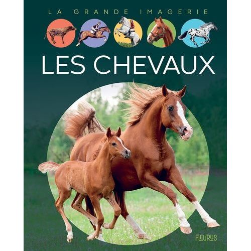 Les Chevaux