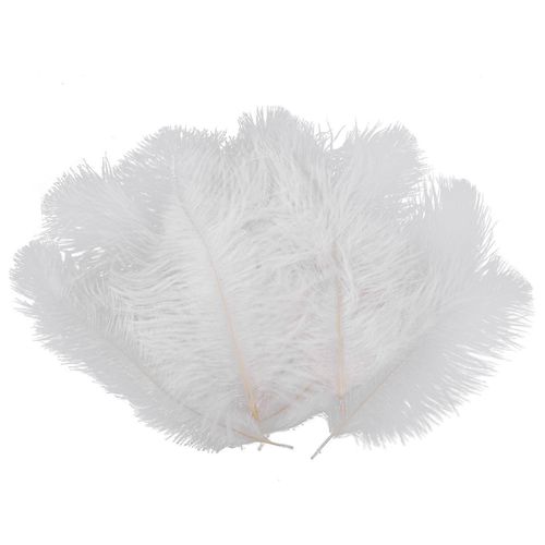 10 Pièces Blanc Naturel Plume D¿Autruche 20-25cm Mariage Diy