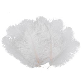 10 Pièces Blanc Naturel Plume D¿Autruche 20-25cm Mariage Diy