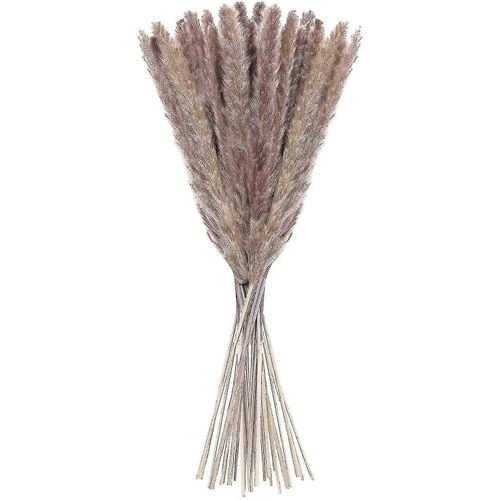 20 Pcs Pampas Grass, 60cm Fleur naturelle de pampa Fleur séchée