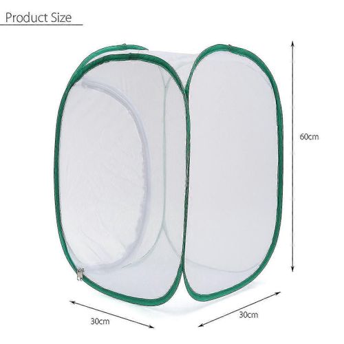 Mante religieuse pliable Bâton Insect Cage Butterfly Pop-up Boîtier Enceinte