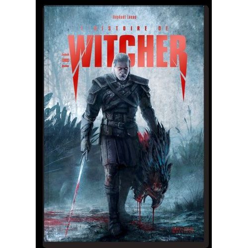 L'histoire De The Witcher