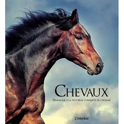 Chevaux - Hommage À La Plus Belle Conquête De LHomme