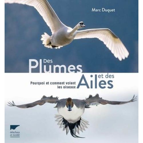 Des Plumes Et Des Ailes - Pourquoi Et Comment Volent Les Oiseaux