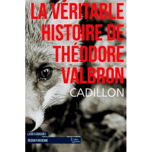 La Véritable Histoire De Théodore Valbron