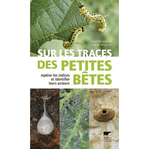 Sur Les Traces Des Petites Bêtes - Repérer Les Indices Et Identifier Leurs Auteurs