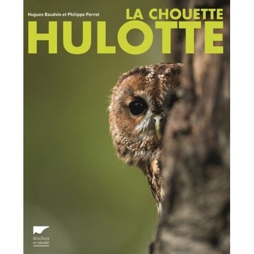 La Chouette Hulotte