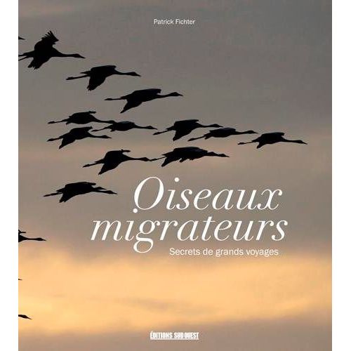 Oiseaux Migrateurs - Secrets De Grands Voyages