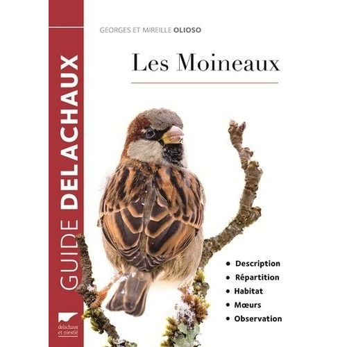 Les Moineaux - Description, Répartition, Habitat, Moeurs, Observation