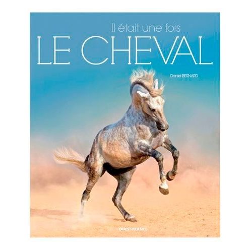 Il Était Une Fois Le Cheval