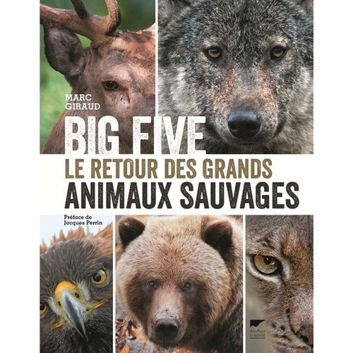 Big Five - Le Retour Des Grands Animaux Sauvages