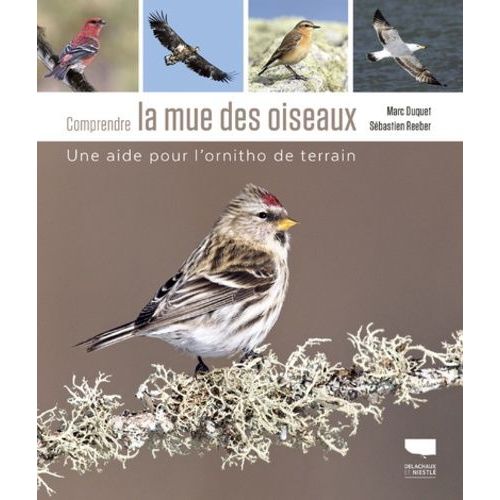 Comprendre La Mue Des Oiseaux - Une Aide Pour L'ornitho De Terrain