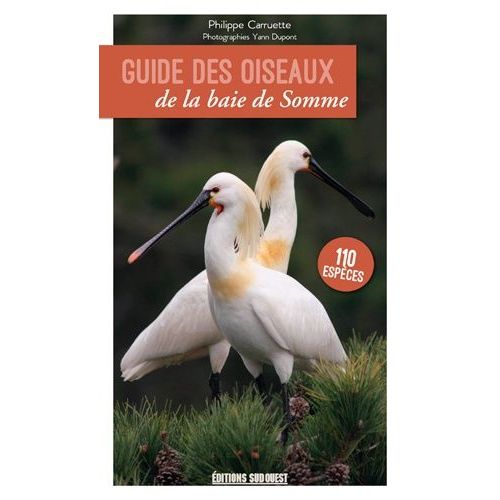Guide Des Oiseaux De La Baie De Somme