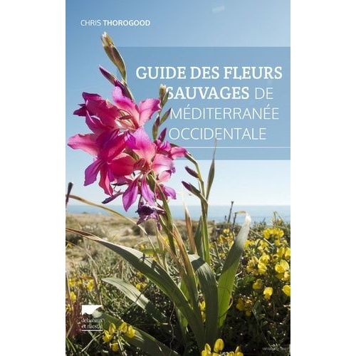 Guide Des Fleurs Sauvages De Méditerranée Occidentale